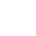 NBP