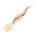 Спирит
