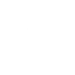 Disco (Surf Curse)