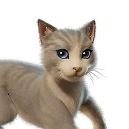 Котя