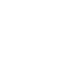 Звёздная лихорадка