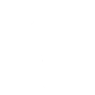Моноцикл