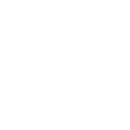 Pop Muzik