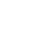 Красный «Райдзин»