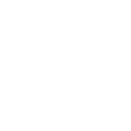 Походка почтальона