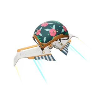 Пляжный полёт