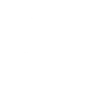 Шахматный поединок