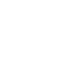 Богатая фантазия